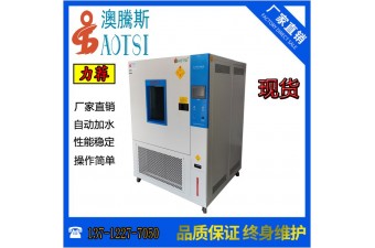 澳騰斯/AOTSI-80L 高低溫交變濕熱試驗(yàn)箱 恒溫恒濕 東莞環(huán)境試驗(yàn)設(shè)備專(zhuān)業(yè)廠家
